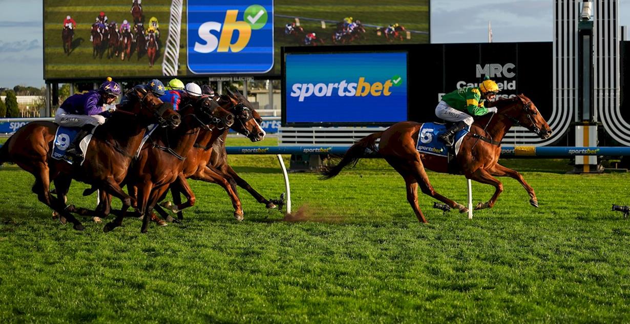 Regal Zeus - Caulfield 27th September 2026 (Listed Testa Rossa Stakes)